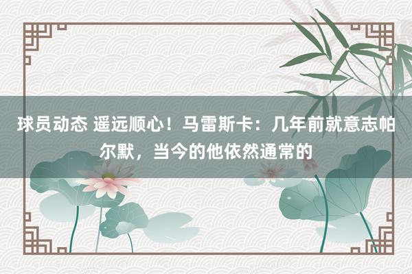 球员动态 遥远顺心！马雷斯卡：几年前就意志帕尔默，当今的他依然通常的