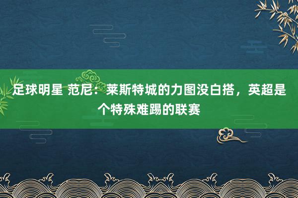 足球明星 范尼：莱斯特城的力图没白搭，英超是个特殊难踢的联赛