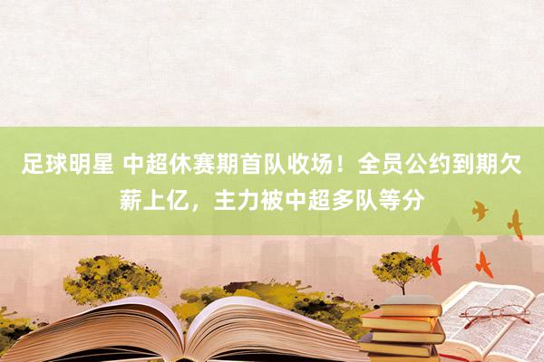 足球明星 中超休赛期首队收场！全员公约到期欠薪上亿，主力被中超多队等分